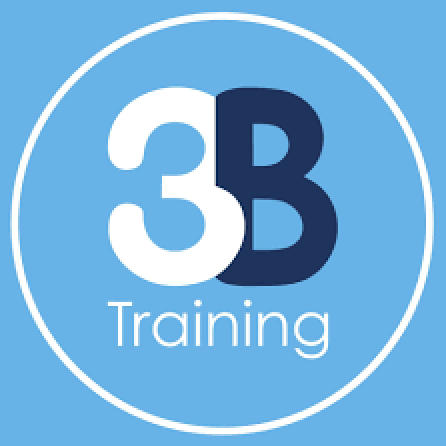 3B Training